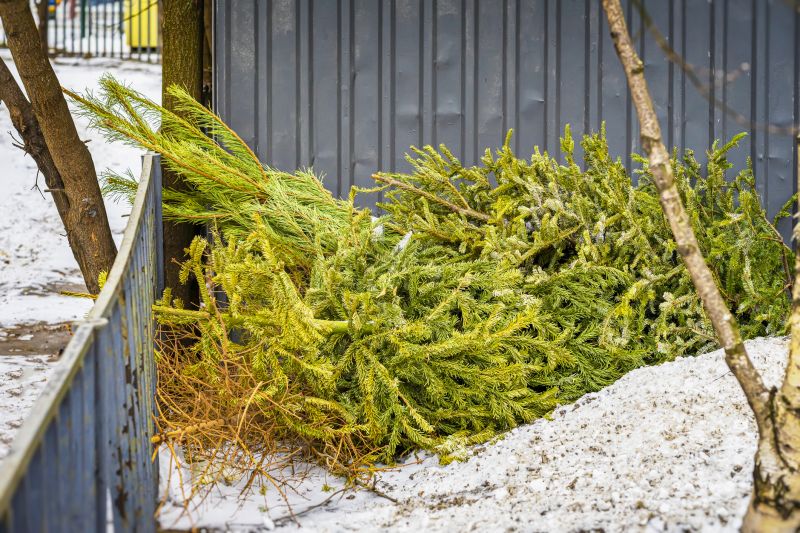 Fallen Trees in Winter